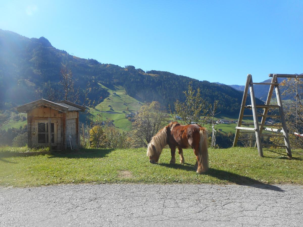 Stockhof Apartment Zell am Ziller Luaran gambar