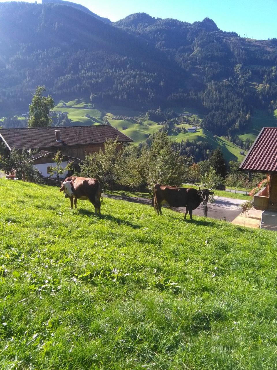 Stockhof Apartment Zell am Ziller Luaran gambar